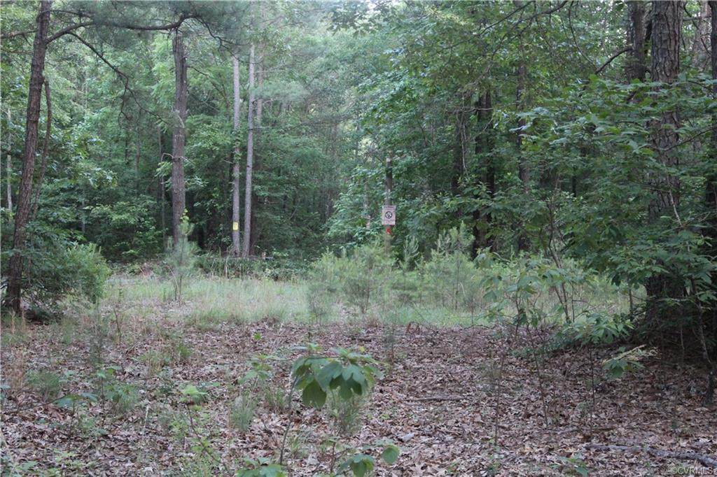 0 0 Moores Mill Road - Photo 1