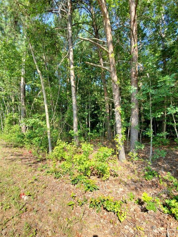 0 Pine Fork Road - Photo 1