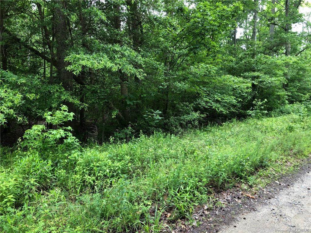 Lt 89 Cypress Trail - Photo 1