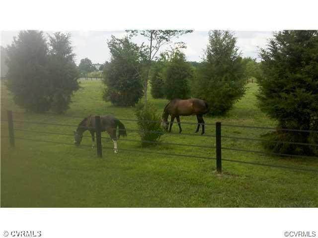 16215 Wolf Creek Road - Photo 1