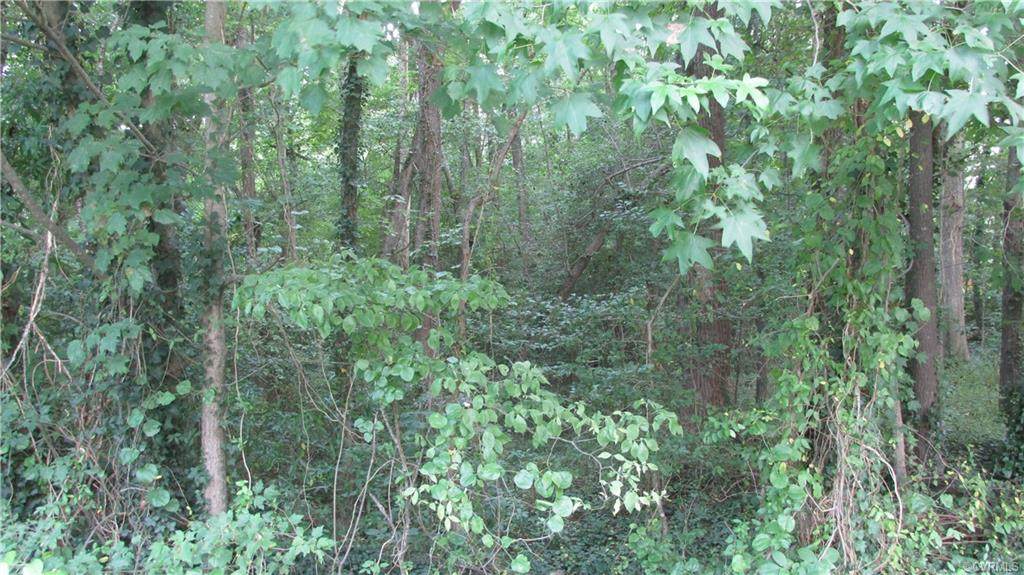0 Crater - Photo 1