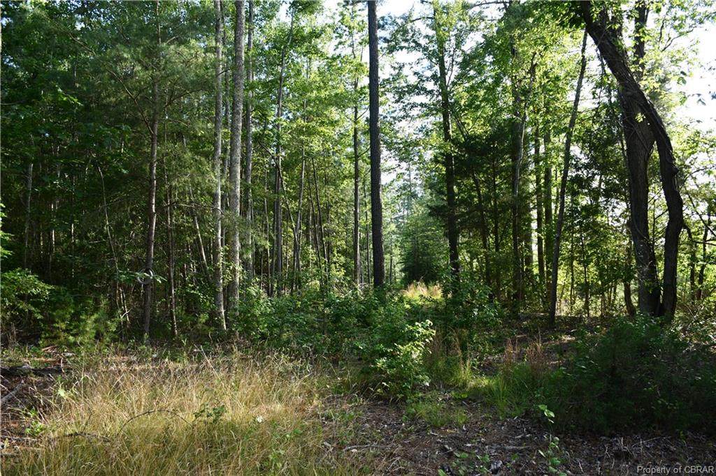 00 Tidewater Trail - Photo 1