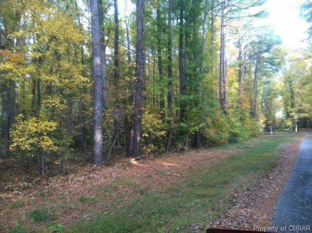 00 Pinewold Lane - Photo 1