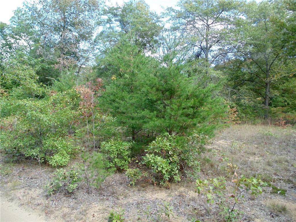 Lot 12 Dragon Run Rd. - Photo 1