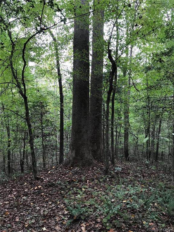 38-189 Hickory Fork Road - Photo 1