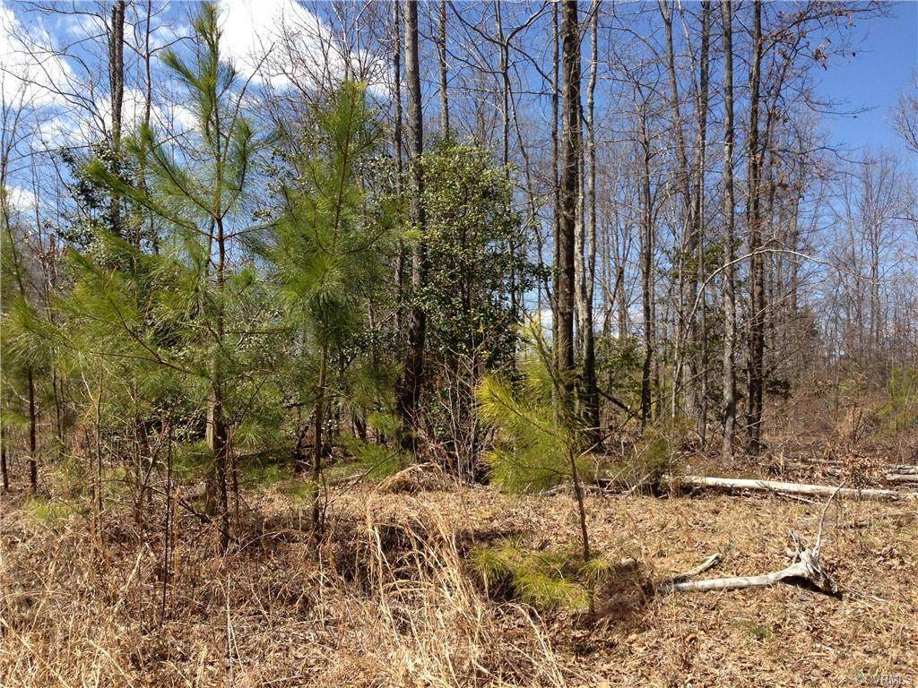 00 Little Buck Trail - Photo 1