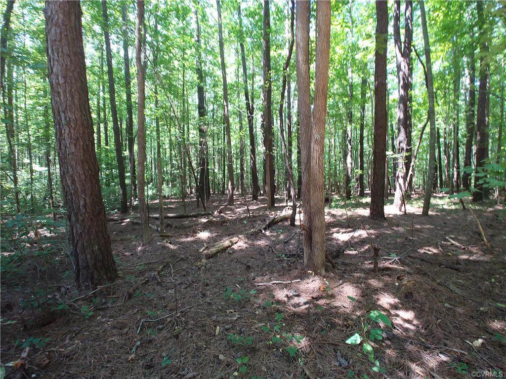 39 Wilton Creek - Photo 1
