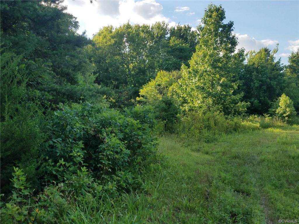 00 Jenkins Church Rd - Photo 1