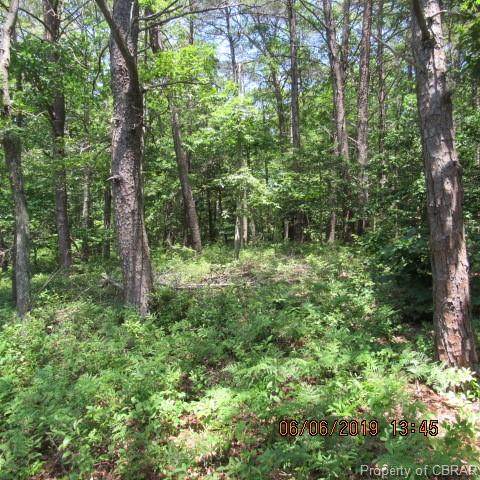 00 Idyll Acres Road - Photo 1