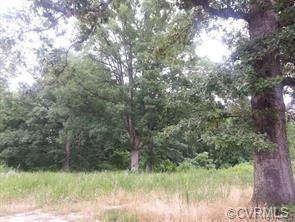 11300 Trexler Road - Photo 1