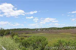 001 Bethel Beach Road - Photo 1