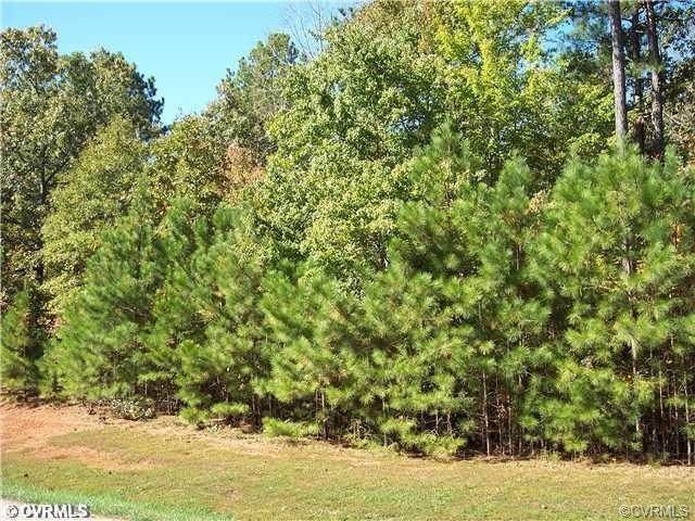 13418 Pungo Terrace - Photo 1