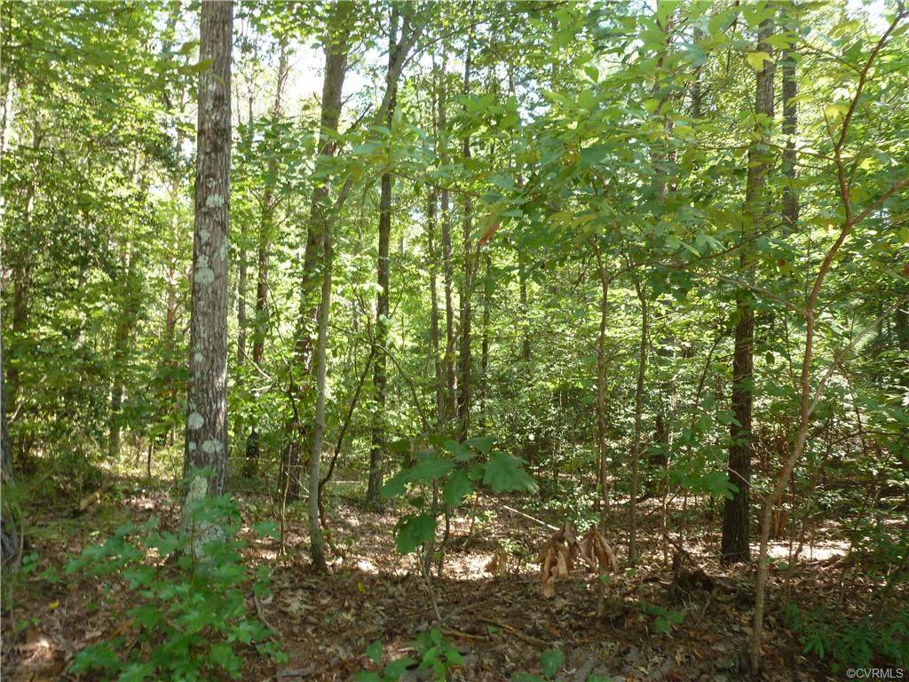 Lot 10 Salvia Road - Photo 1