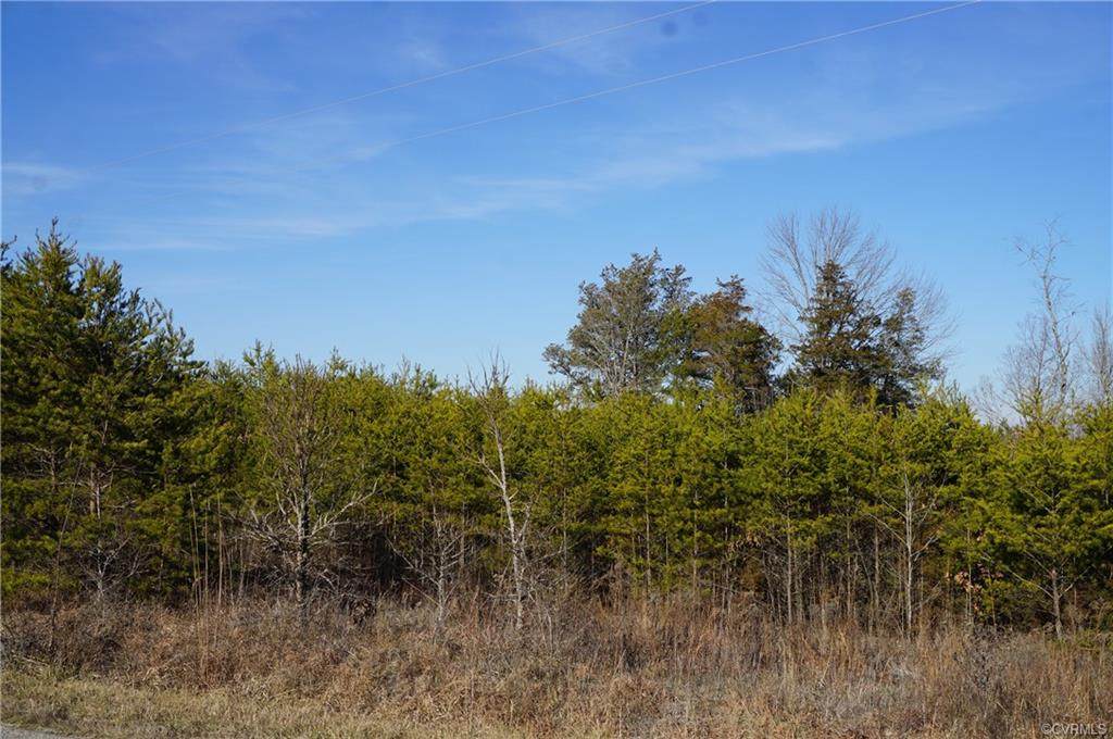 XX Fowlkes Bridge Road - Photo 1