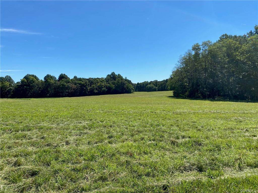 0 Locust Grove Road - Photo 1