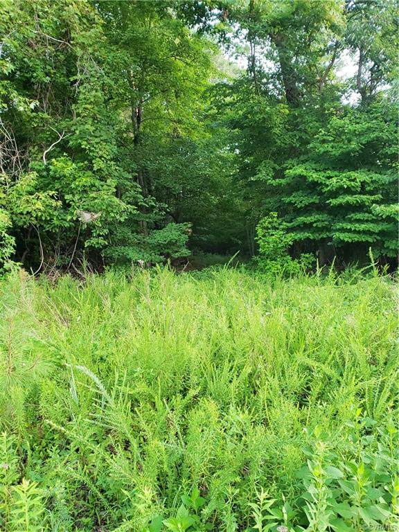 0 Pine Tree Road - Photo 1