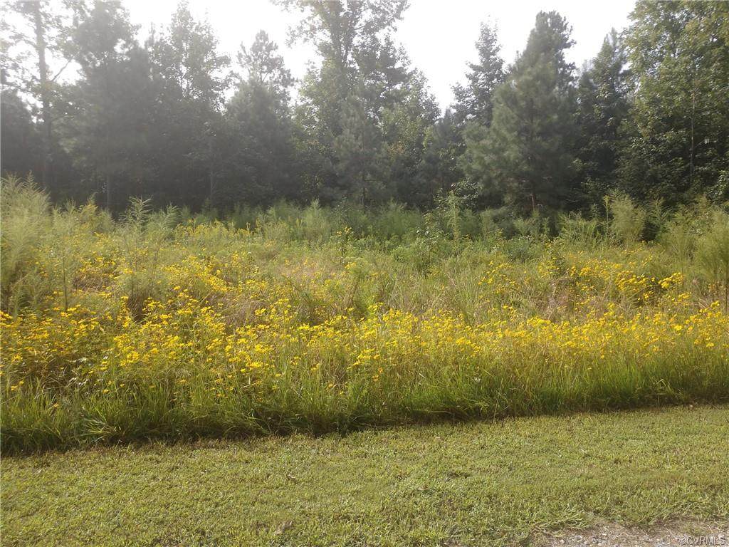 TBD Pineoak Grove - Photo 1