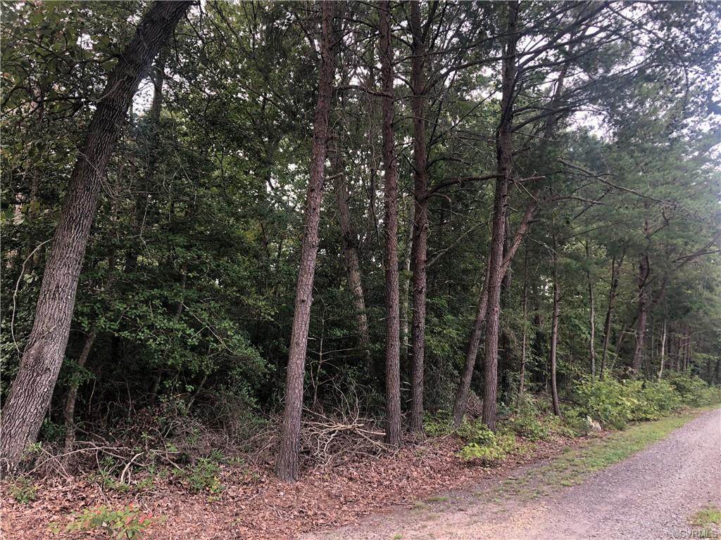 0 Beech Creek Road - Photo 1