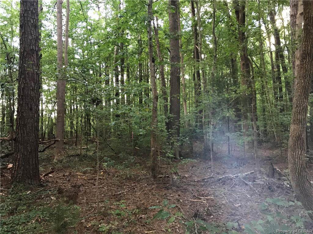 3.36 AC Shadywoods Lane - Photo 1
