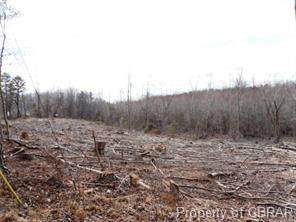 0 Chestunt Fork Road - Photo 1