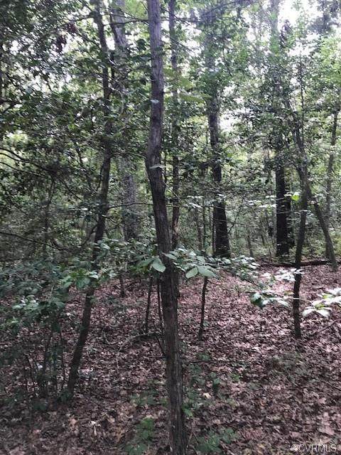 0 Pa Pa Lane - Photo 1
