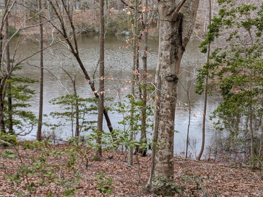 0000 Pond Ridge Lane - Photo 1