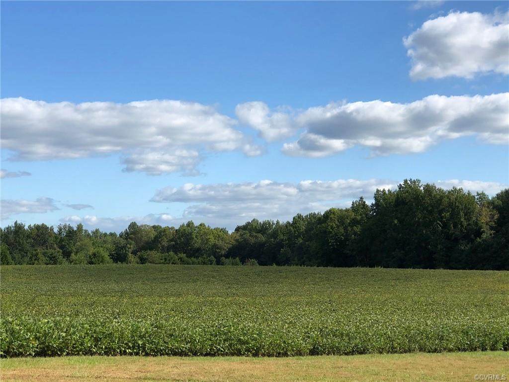19.32 acres Namozine & Richmond Road - Photo 1