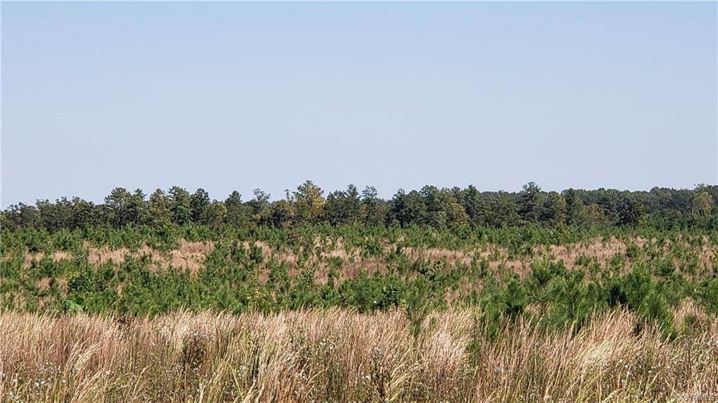 000 N James Madison Hwy - Photo 1