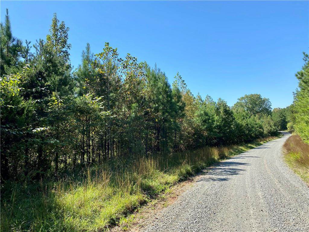 Lot 1 Cary's Creek Road - Photo 1