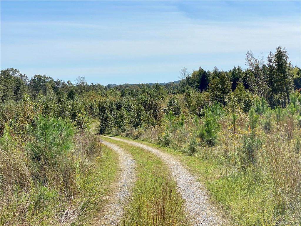 Lot 2 Cary's Creek Road - Photo 1