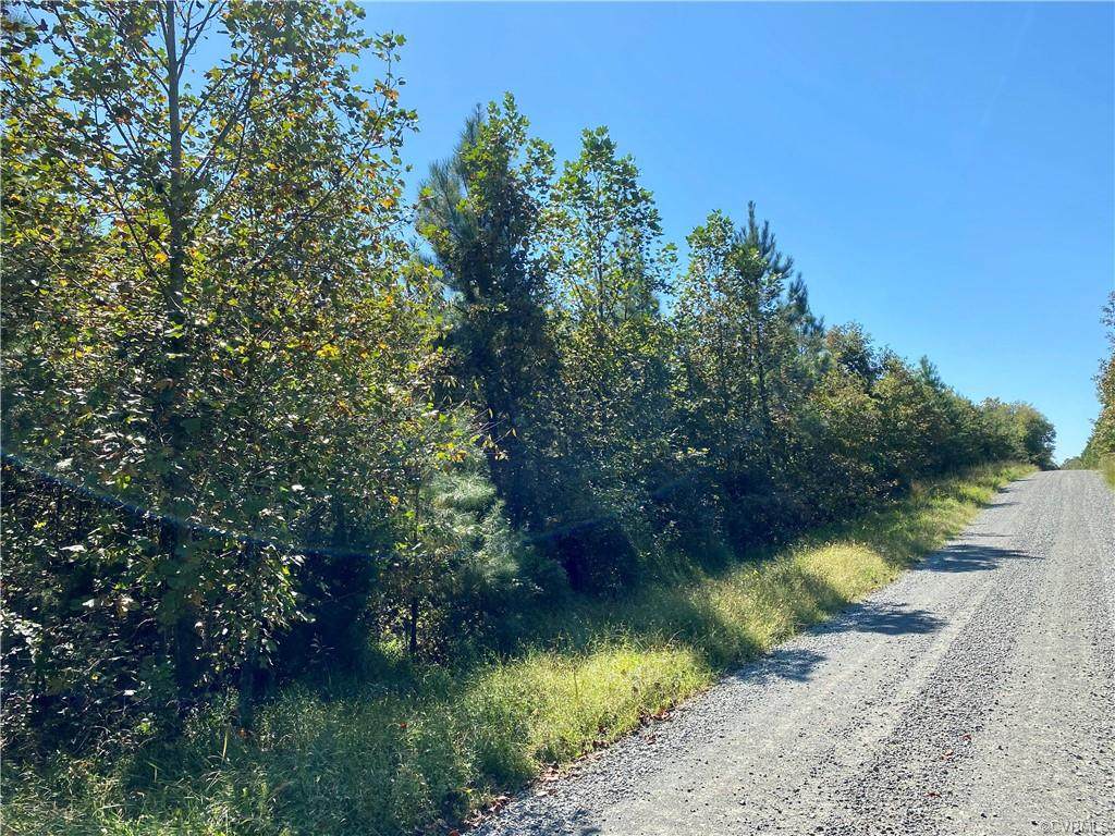 Lot 3 Cary's Creek Road - Photo 1