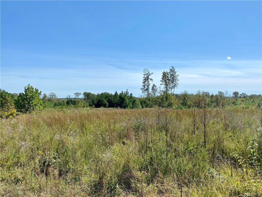 Lot 4 Cary's Creek Road - Photo 1