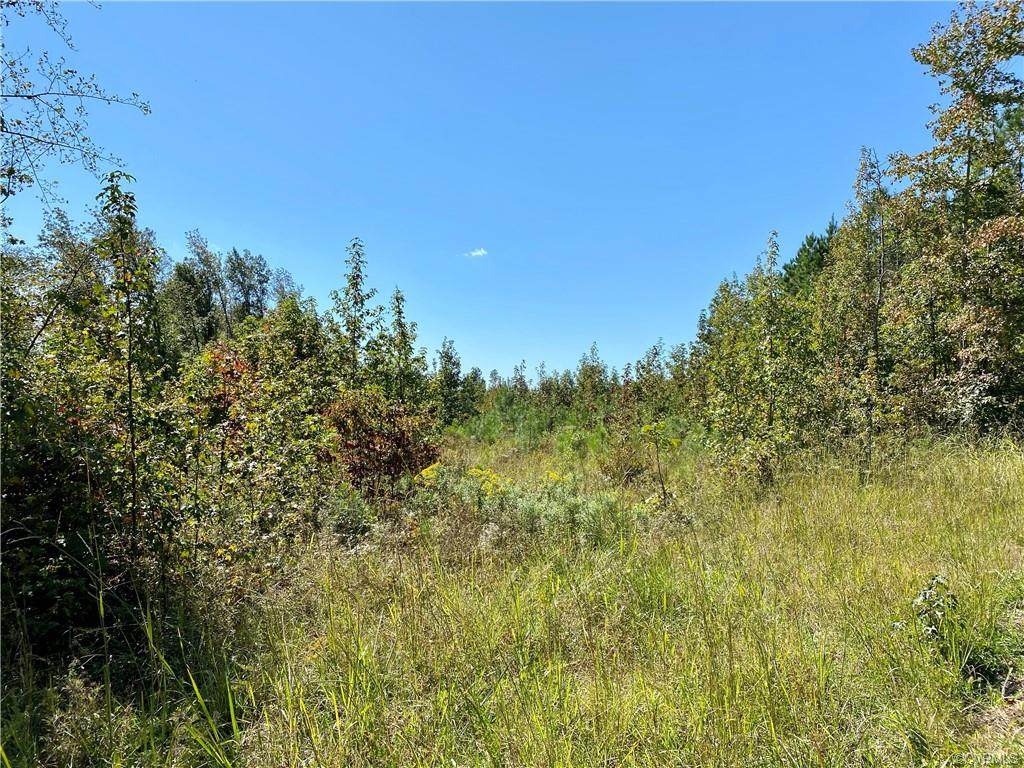 Lot 5 Cary's Creek Road - Photo 1