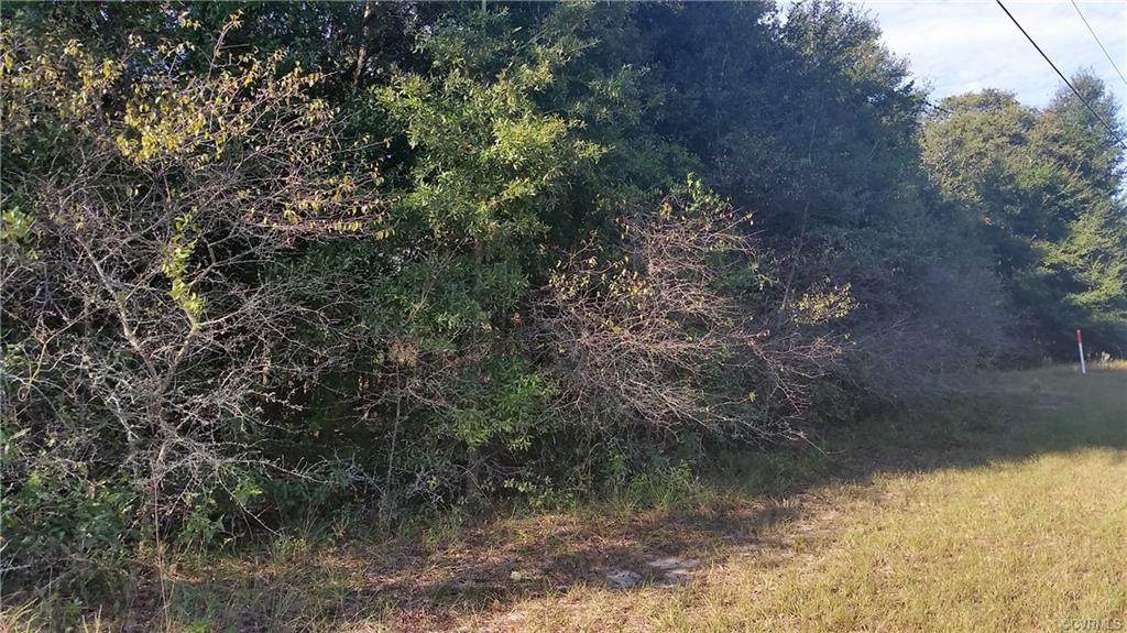 2115 Broad Rock Boulevard - Photo 1