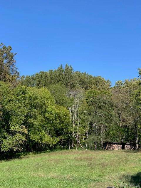 308A Scenic - Photo 1