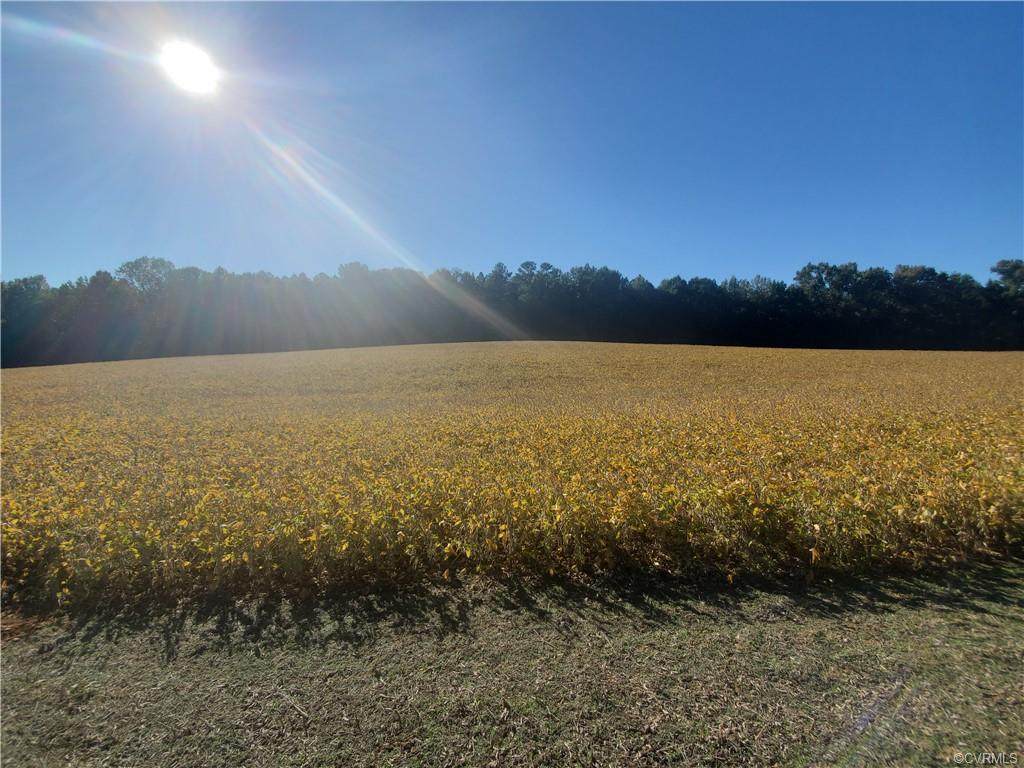 0000 Wickham Ridge Drive - Photo 1