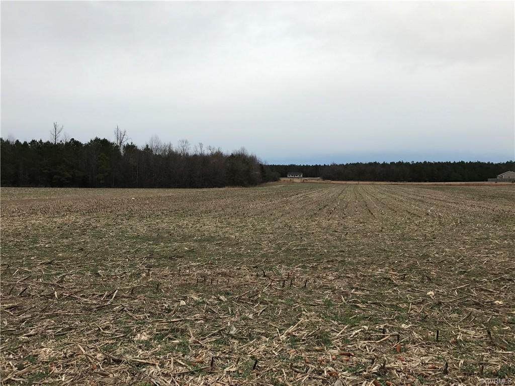 8559 Warriner Road - Photo 1