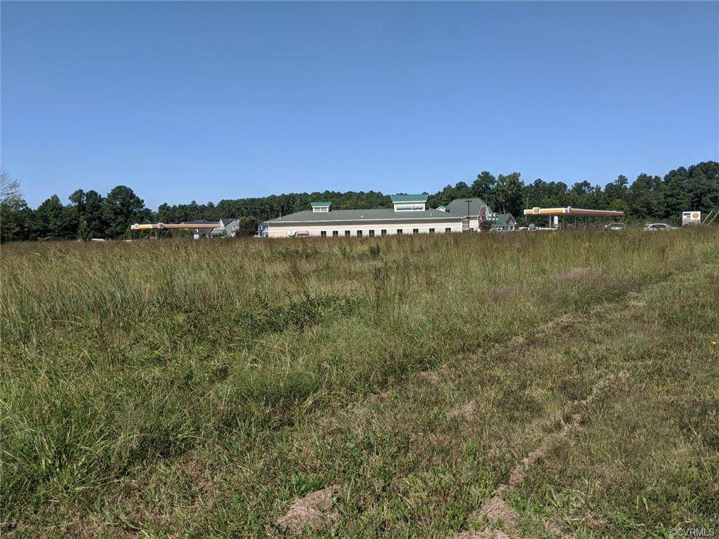 9800 Pouncey Tract Road - Photo 1