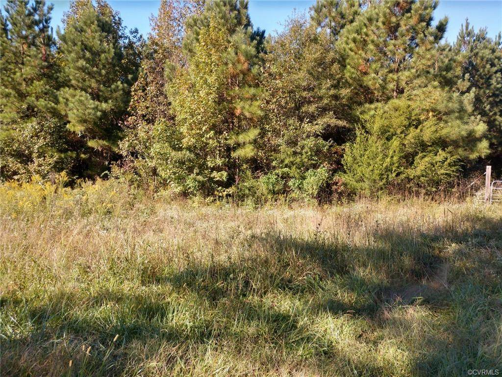TBD Colemans Lake Road - Photo 1