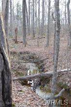 0 Mt. Airy - Photo 1