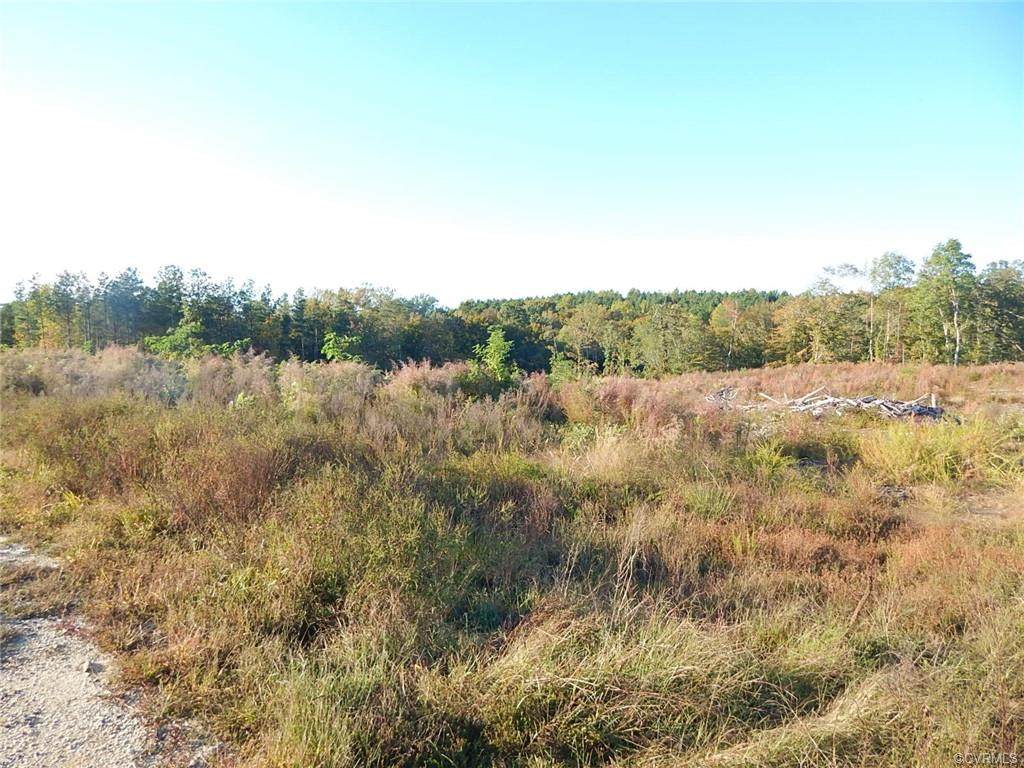 0 Conley Pond - Photo 1