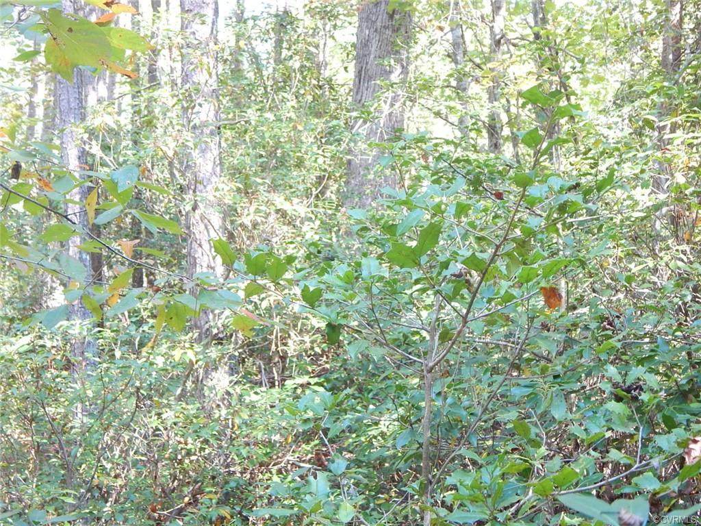 0 Berkeley Forest - Photo 1
