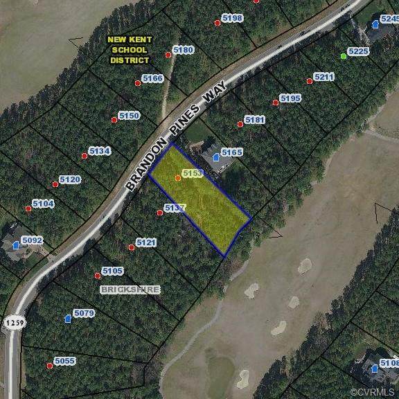 5153 Brandon Pines Way - Photo 1