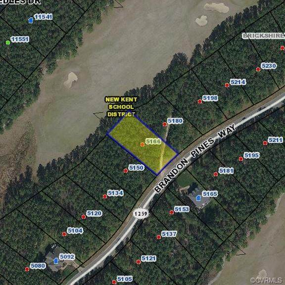 5166 Brandon Pines Way - Photo 1