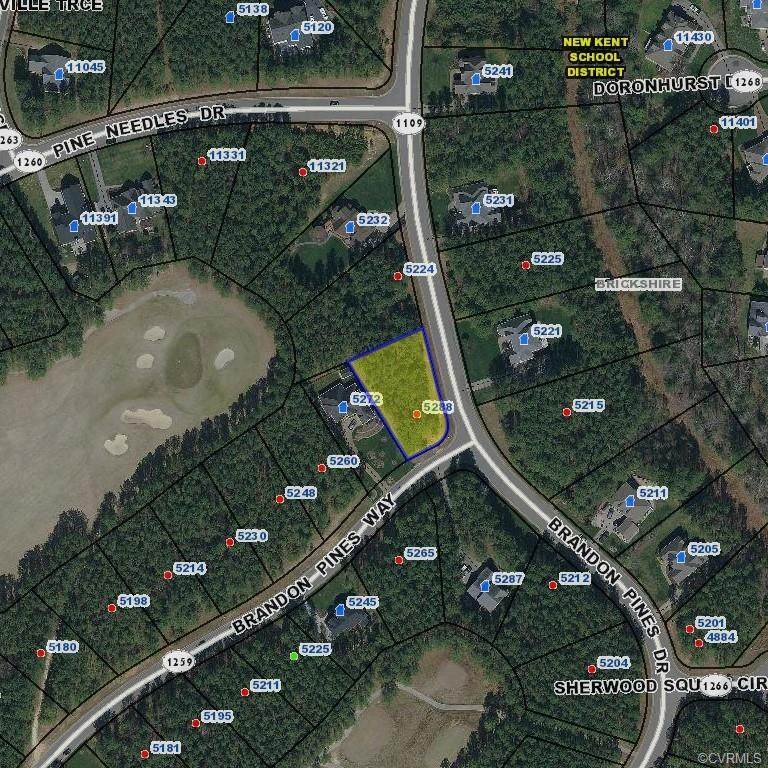 5288 Brandon Pines Drive - Photo 1