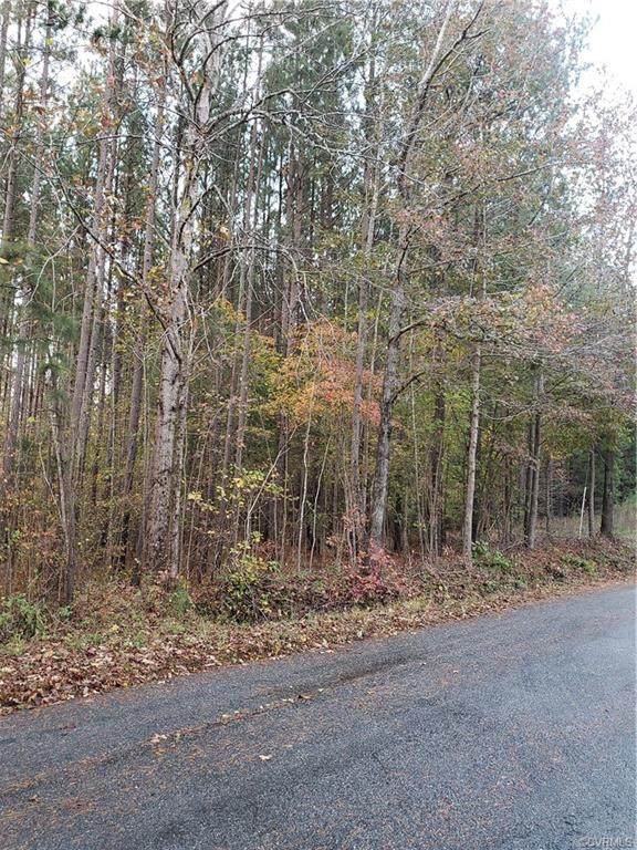 0000 Double Bridges Rd - Photo 1
