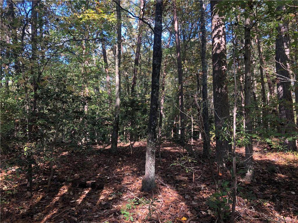 0 Deer Trail Drive - Photo 1