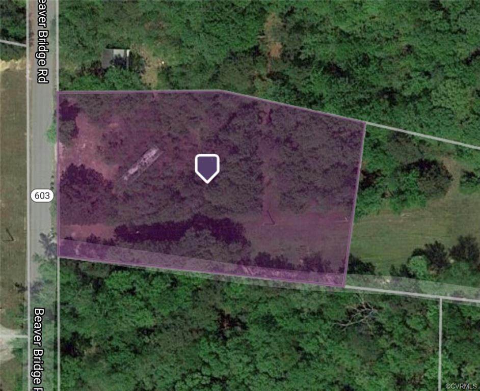 10217 Beaver Bridge Road - Photo 1