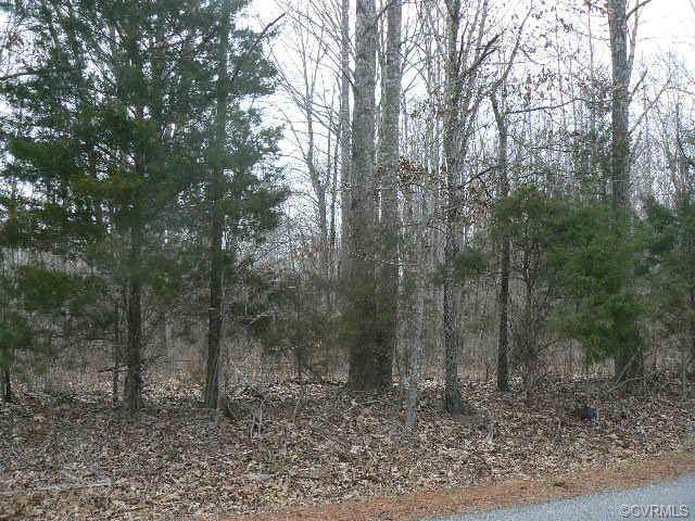 0 Route 610 Road - Photo 1