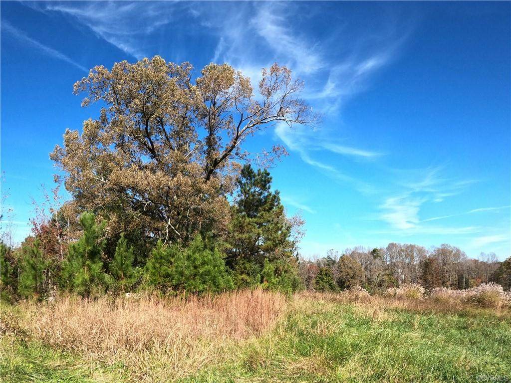 16054 Woodlong Lane - Photo 1
